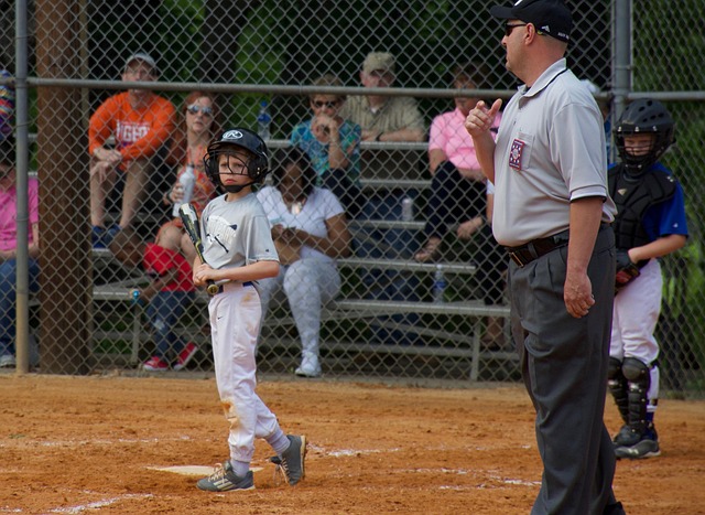 了轩然大波 了轩然大波